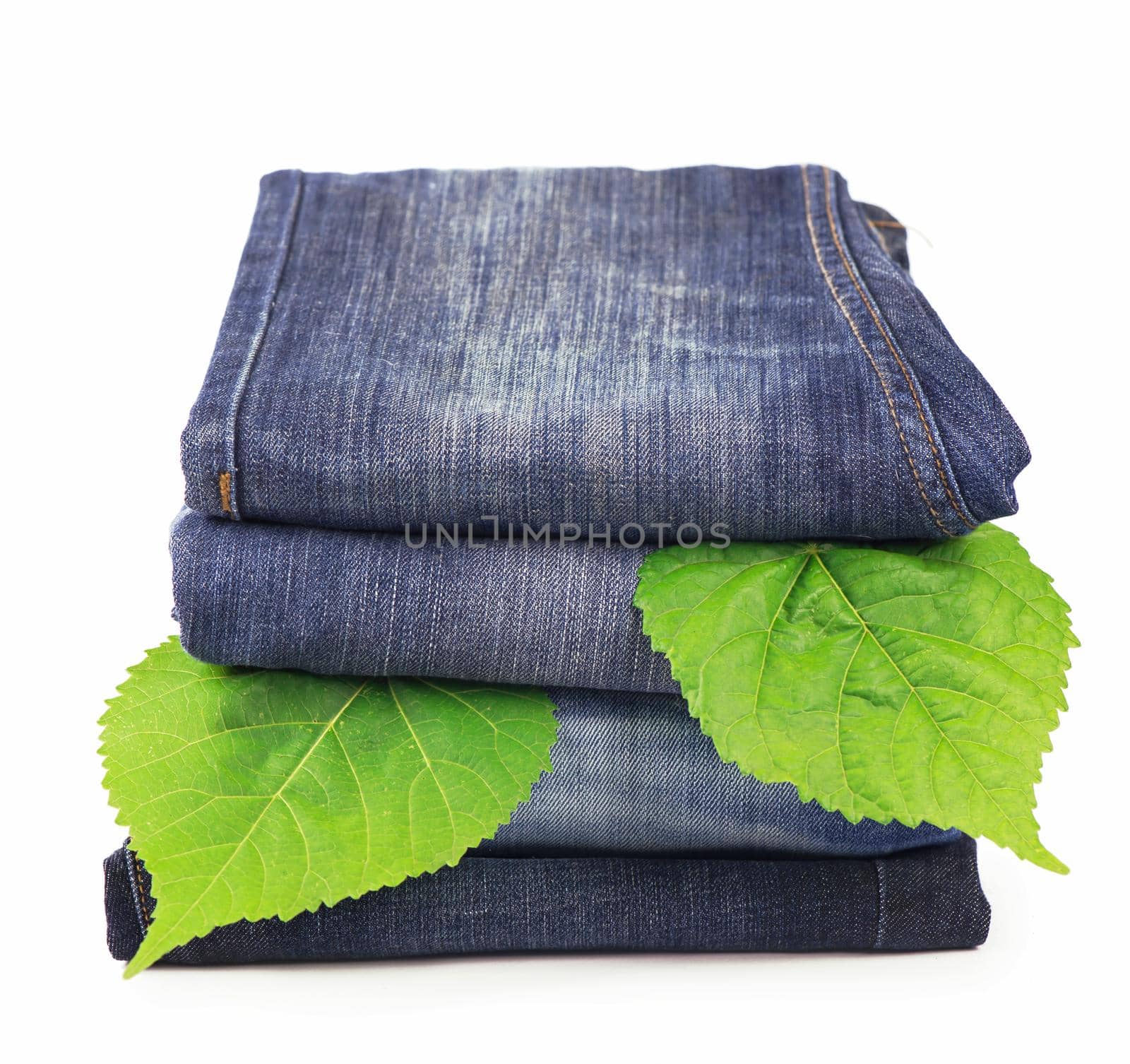 green spring leaves and pile of jeans clothes by aprilphoto