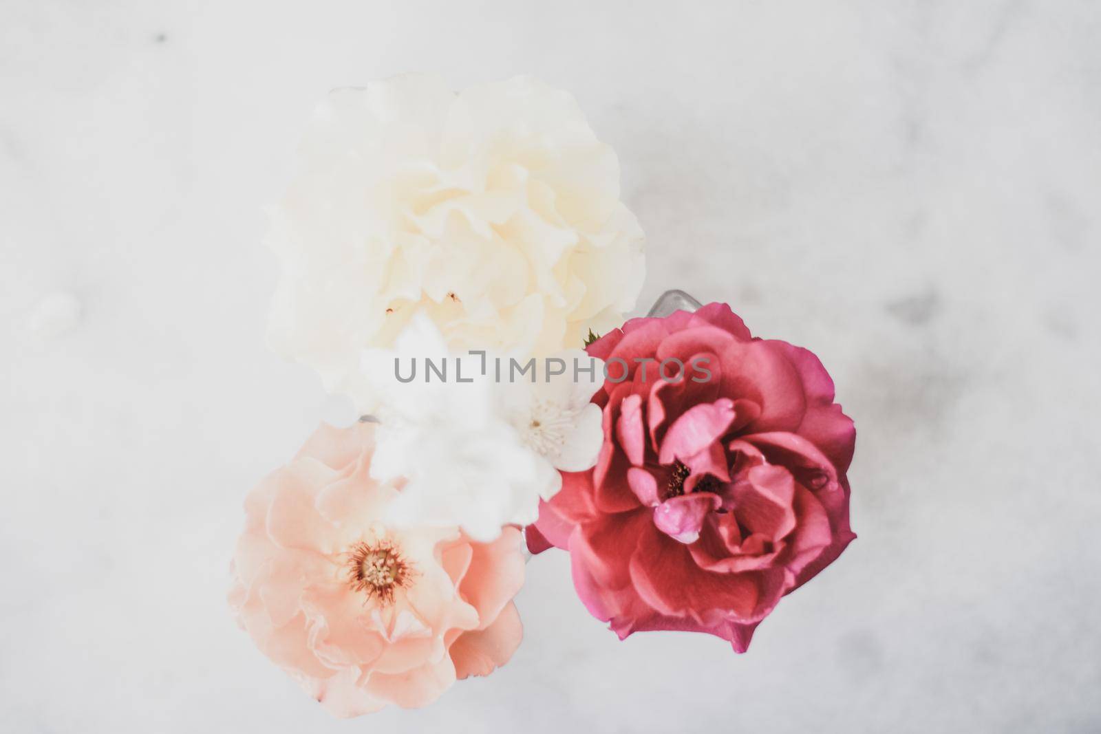 Wedding decor, floral background and beautiful home garden concept - Vintage roses on marble