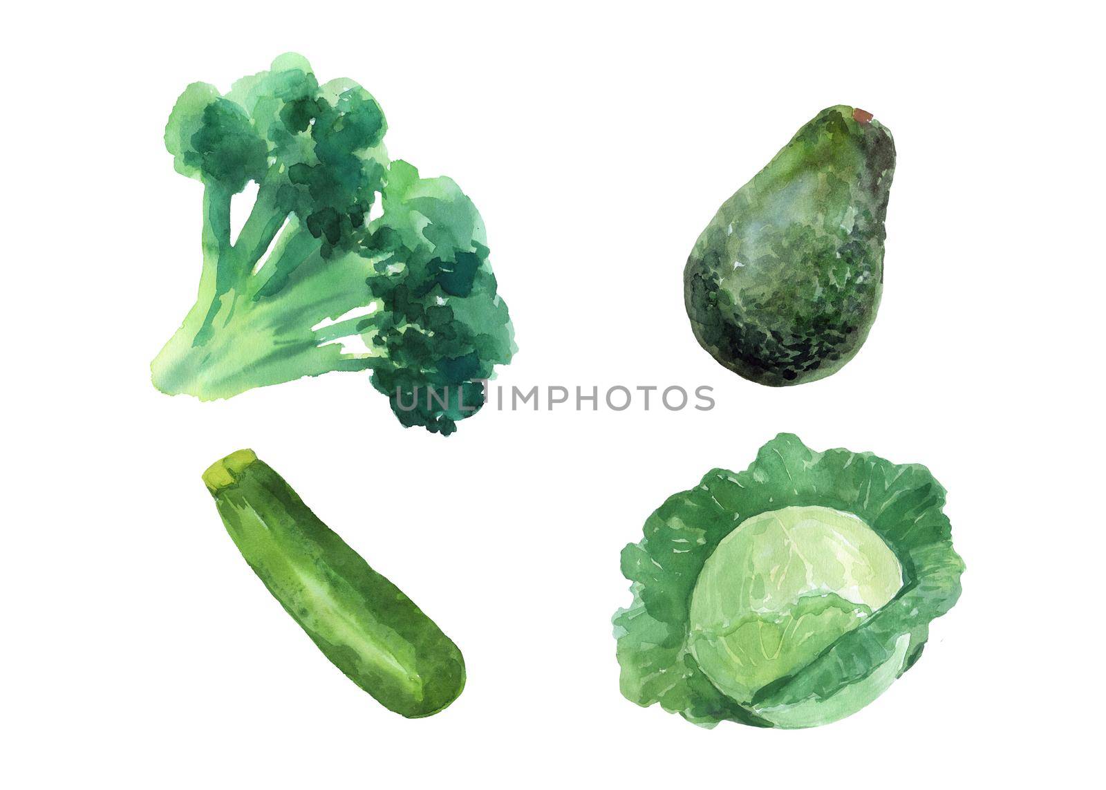 Watercolor cabbage, zucchini, avocado and broccoli . Hand drawn painting vegetable isolated on white background. by ElenaPlatova