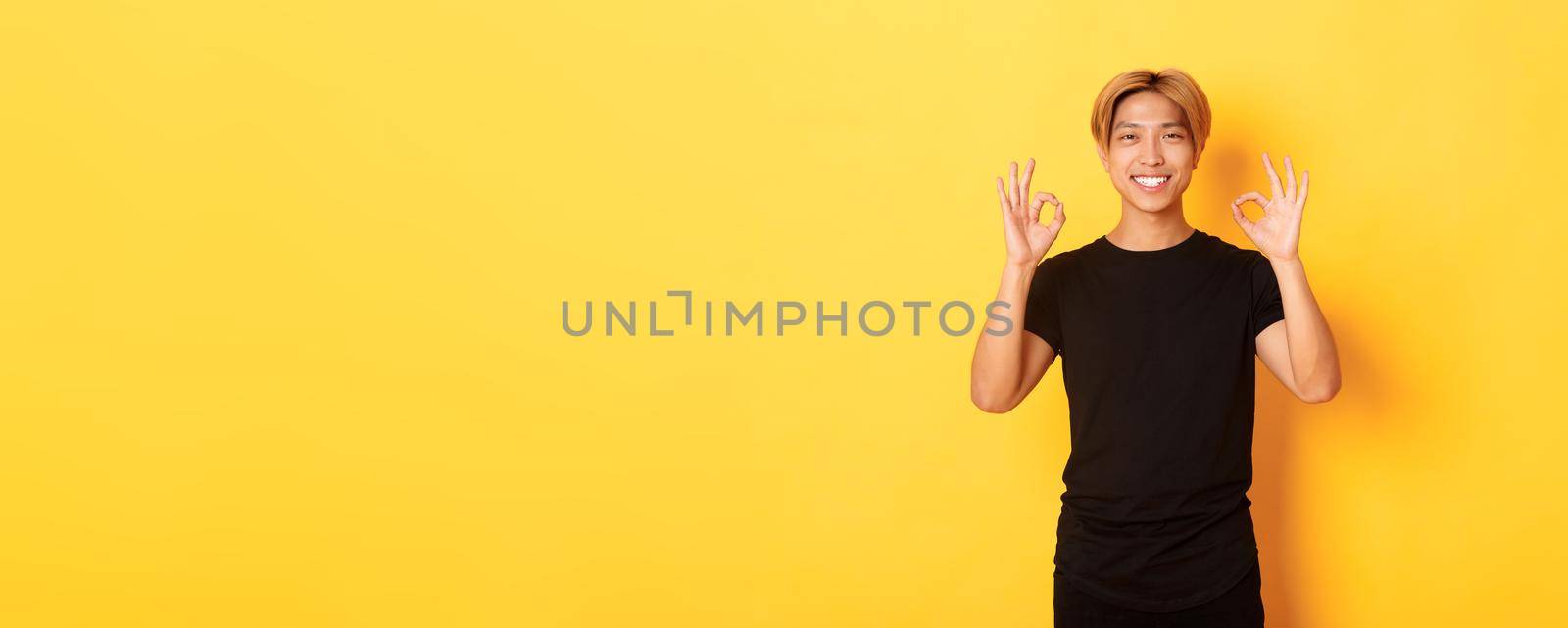 Portrait of smiling confident asian guy, looking pleased, showing okay gesture, yellow background.