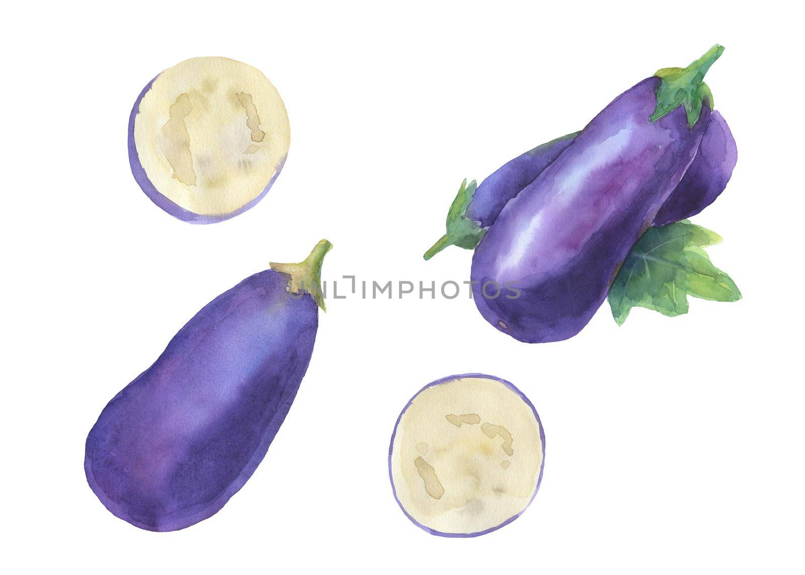 Eggplant watercolor illustration isolated on white by ElenaPlatova