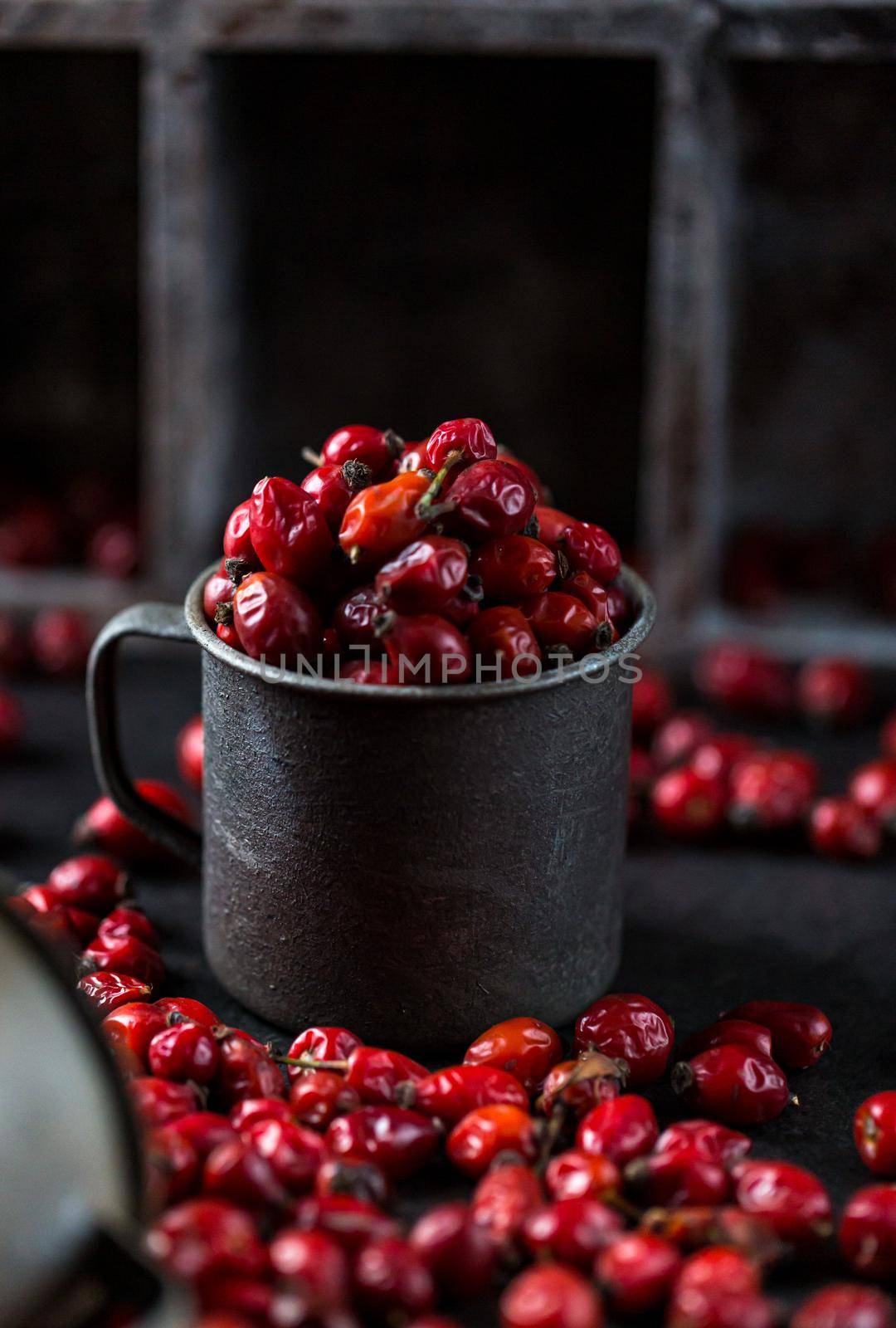 Rosehip in the cup. Benefits and used as a natural remedy. Natural therapy. dark mode style.