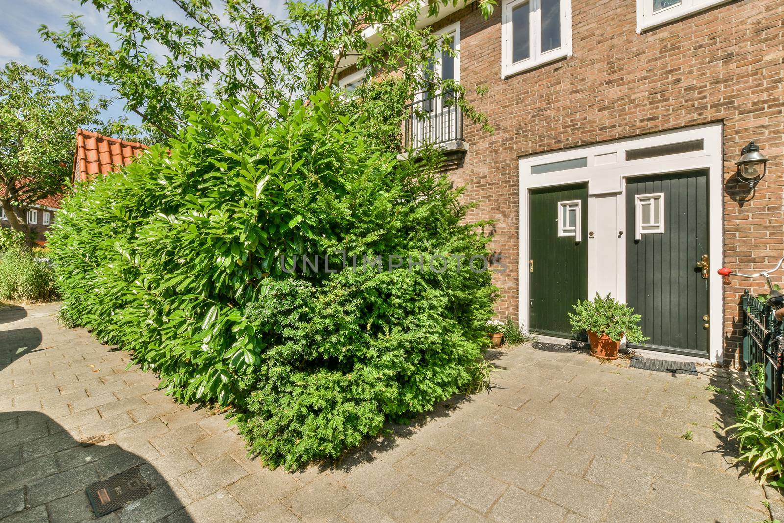 View of street near building with beauty of vegetation outside