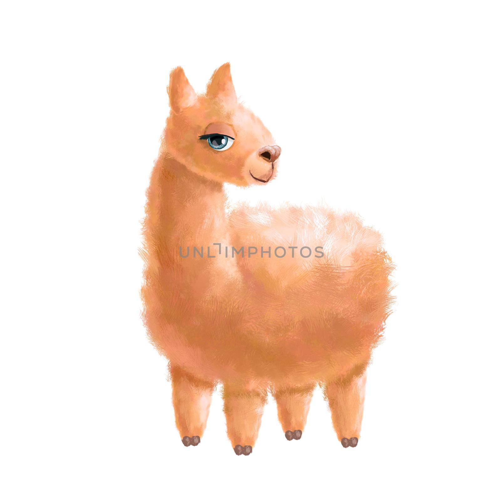 Alpaca girl clipart. Watercolor hand painted illustration isolated white. Funny fluffy llama animal. by ElenaPlatova