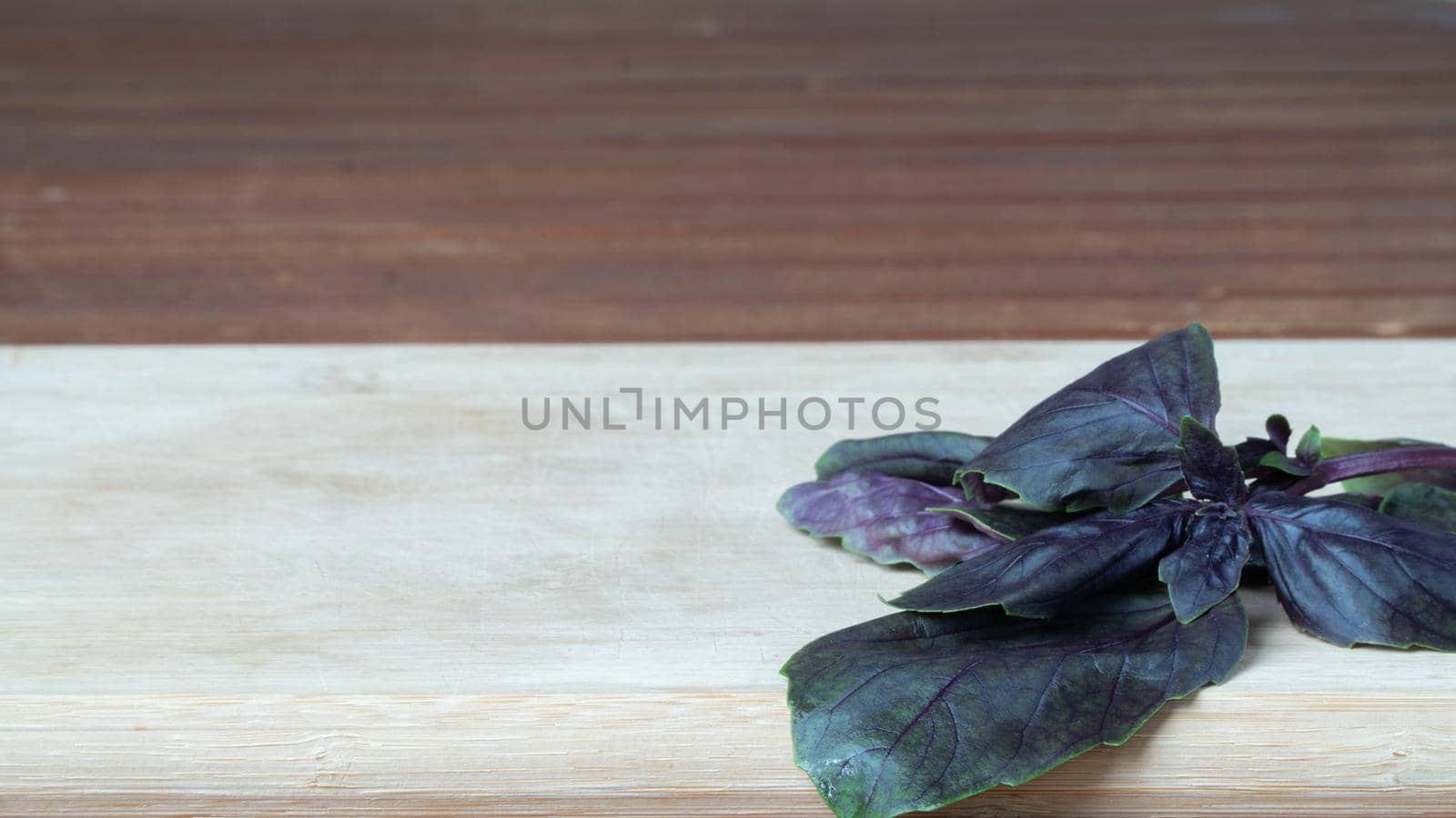 Basil greenery on a wooden board place for inscription by voktybre