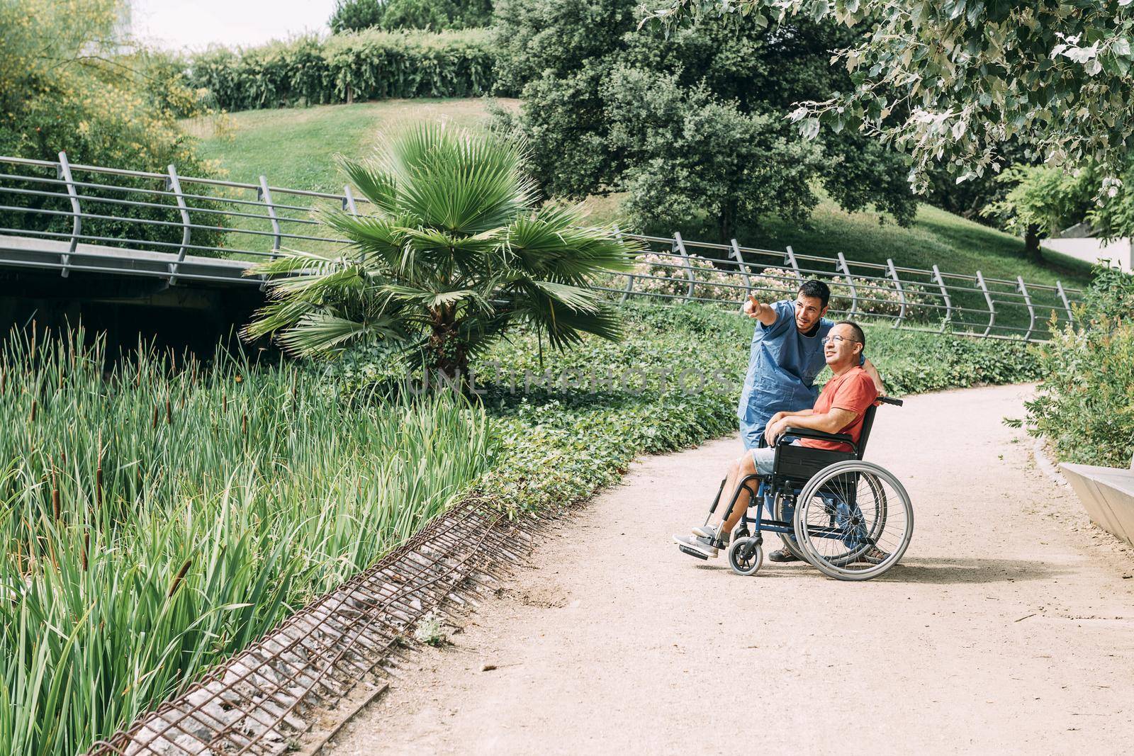 caretaker talking with his disabled patient in a wheelchair during a walk, concept of medical care and rehabilitation of people with disabilities and reduced mobility problems