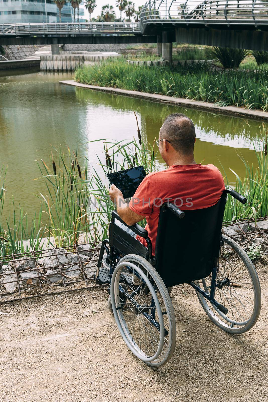 disabled man in wheelchair having fun while working using a tablet computer at park, concept of technological and occupational integration of people with disabilities and reduced mobility problems