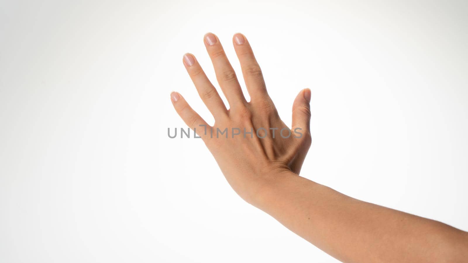 Female hand gesture give five back side of the palm. High quality photo