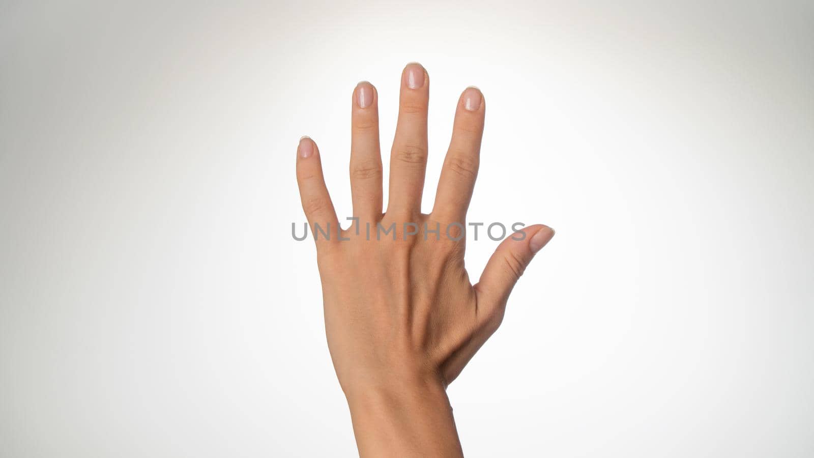 Women's hands count on fingers 5 back of palms or give five. High quality photo