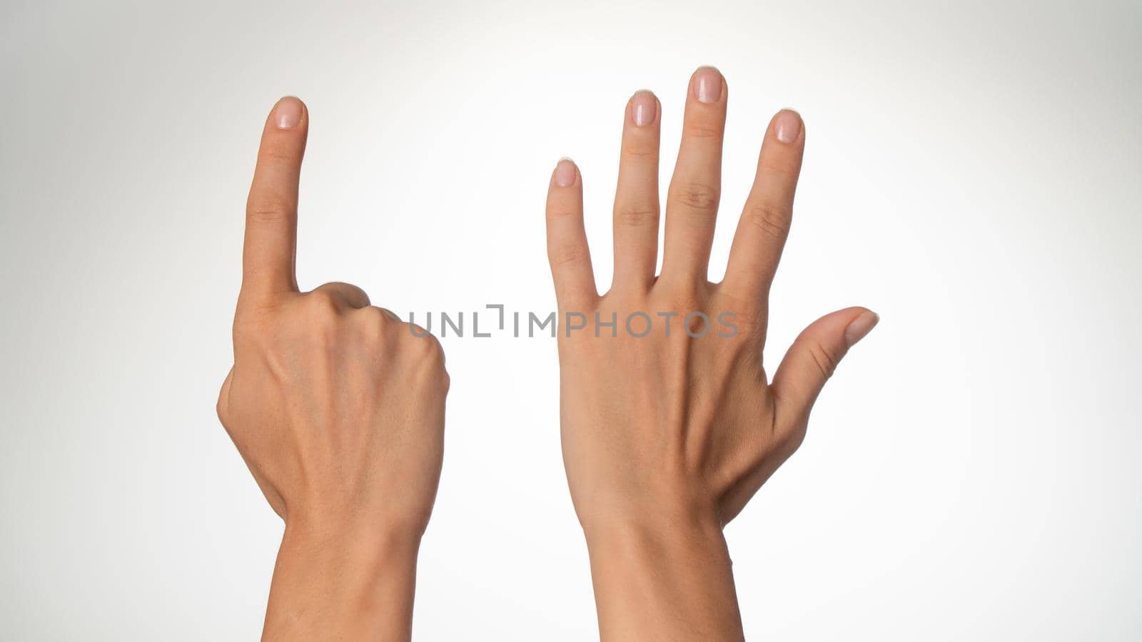 Women's hands count on fingers six back of palms by voktybre