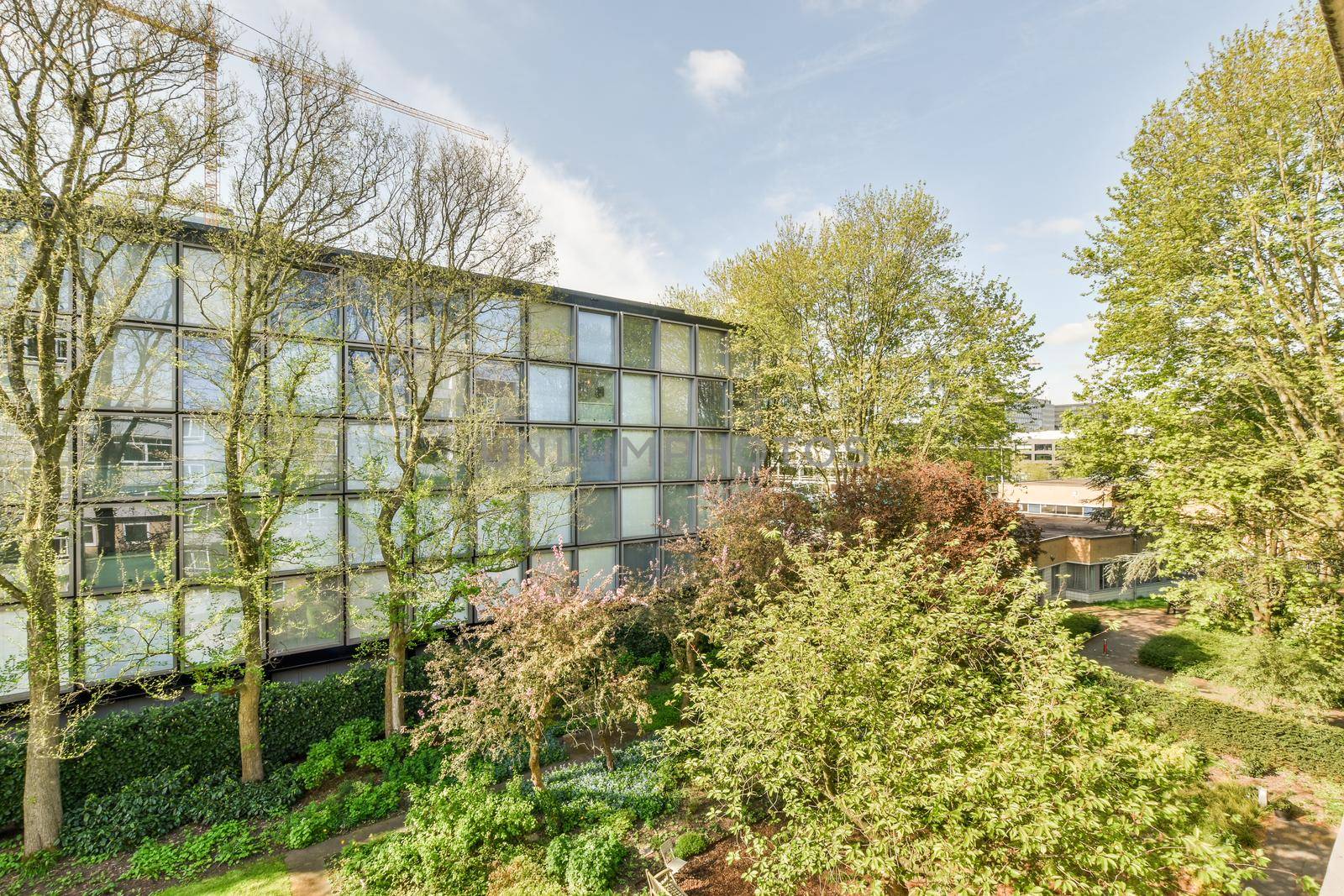 View of street near building with beauty of vegetation outside