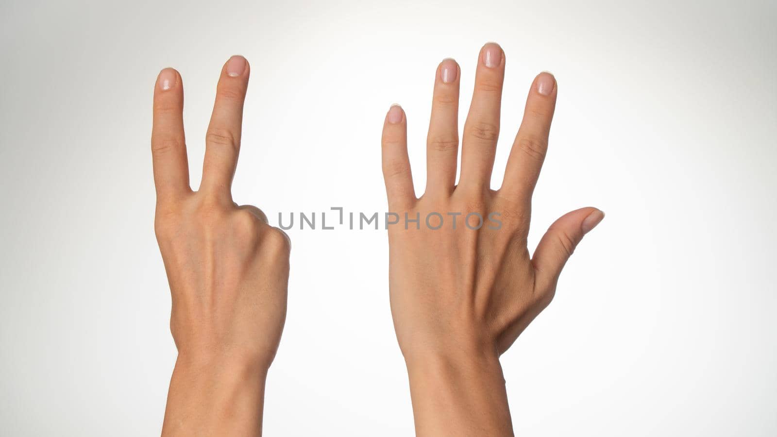 Women's hands count on fingers 7 back of palms. High quality photo