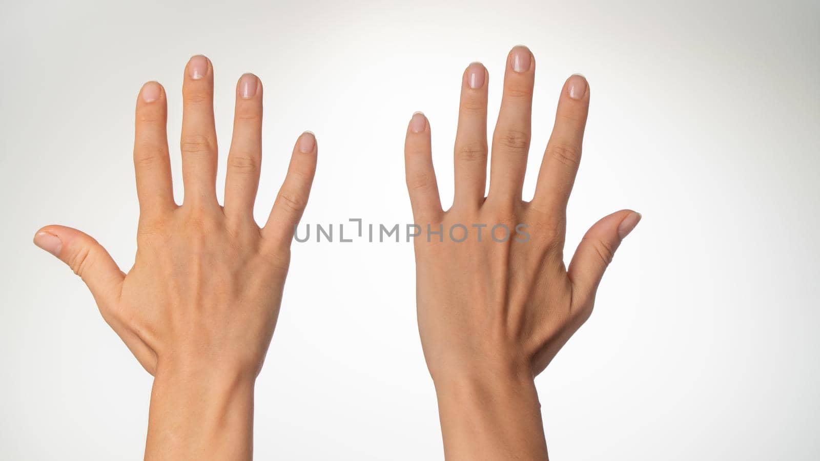 Women's hands count on fingers ten back of palms by voktybre