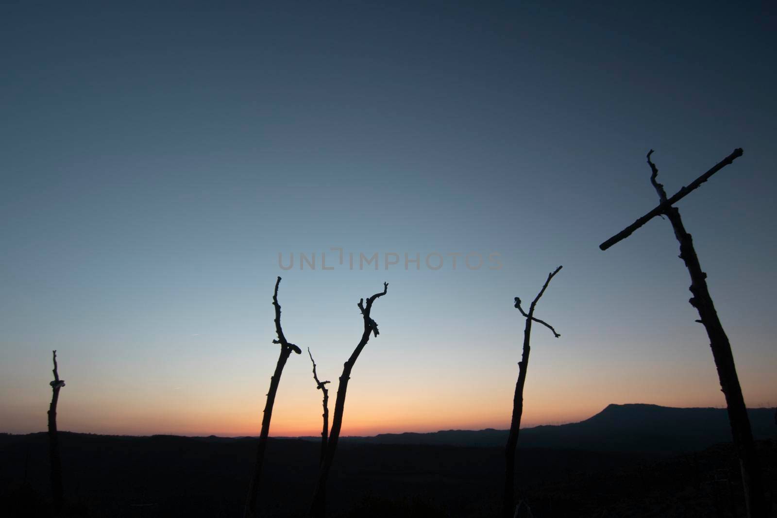 Crosses in memory of a burned forest close to Montserrat mountain in Catalonia