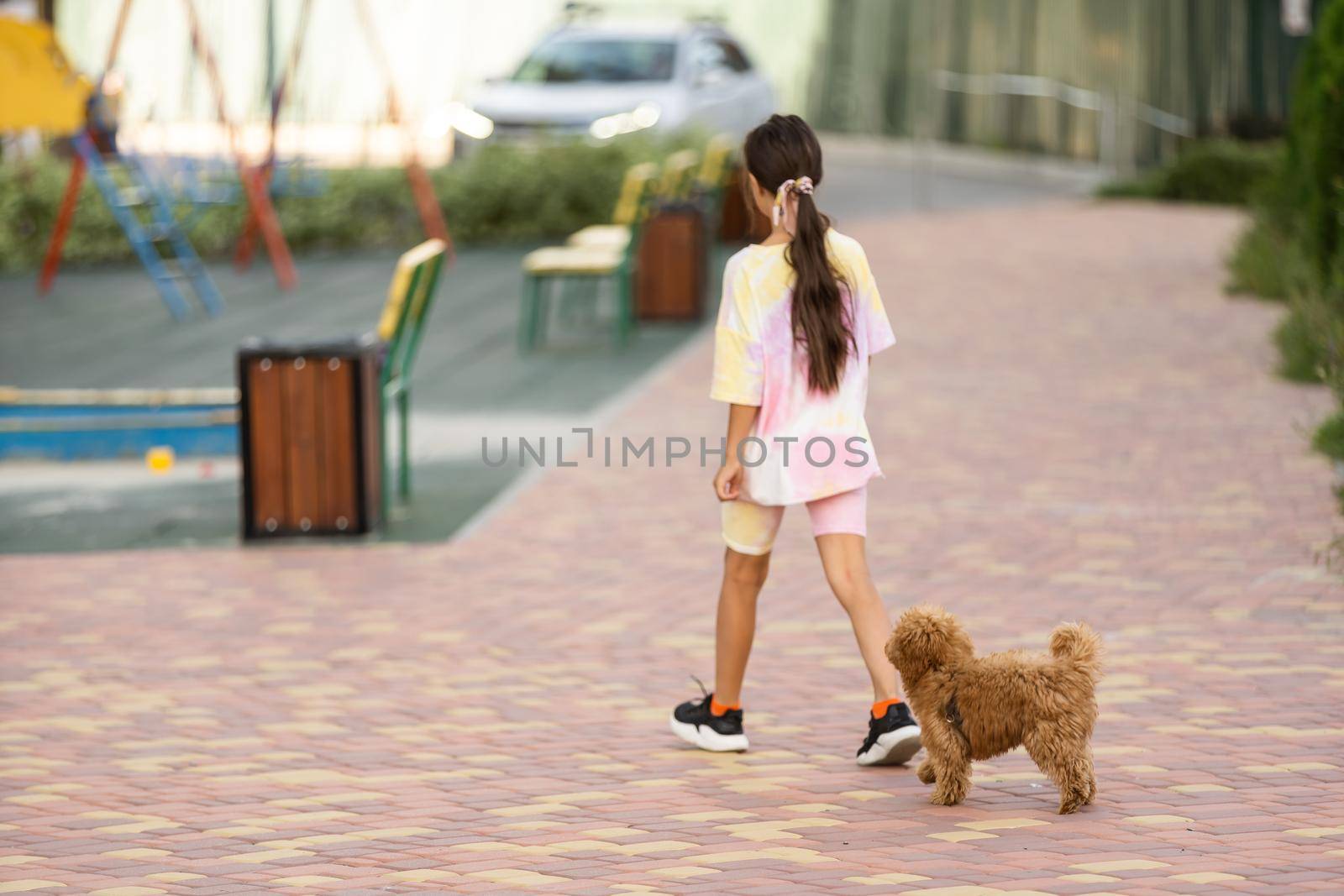 a little girl with Adorable Maltese and Poodle mix Puppy or Maltipoo dog.