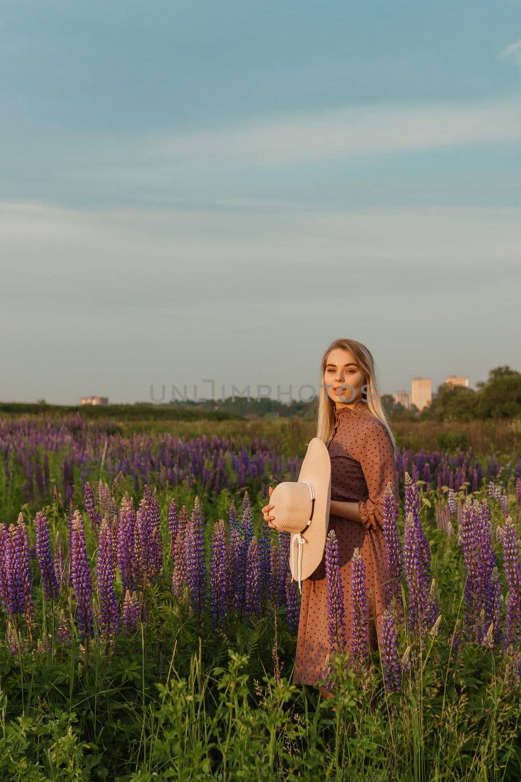 A beautiful woman in a straw hat walks in a field with purple flowers. A walk in nature in the lupin field.