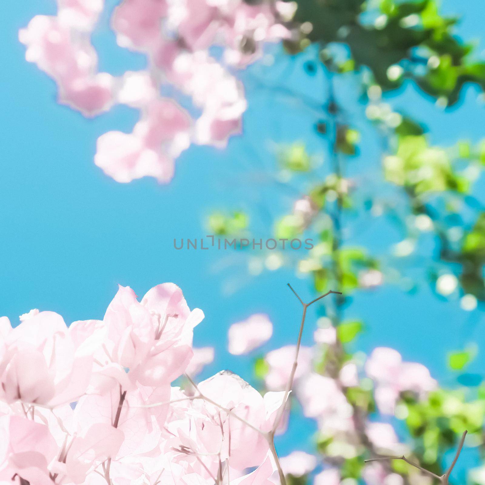 Pastel pink blooming flowers and blue sky in a dream garden, floral background by Anneleven