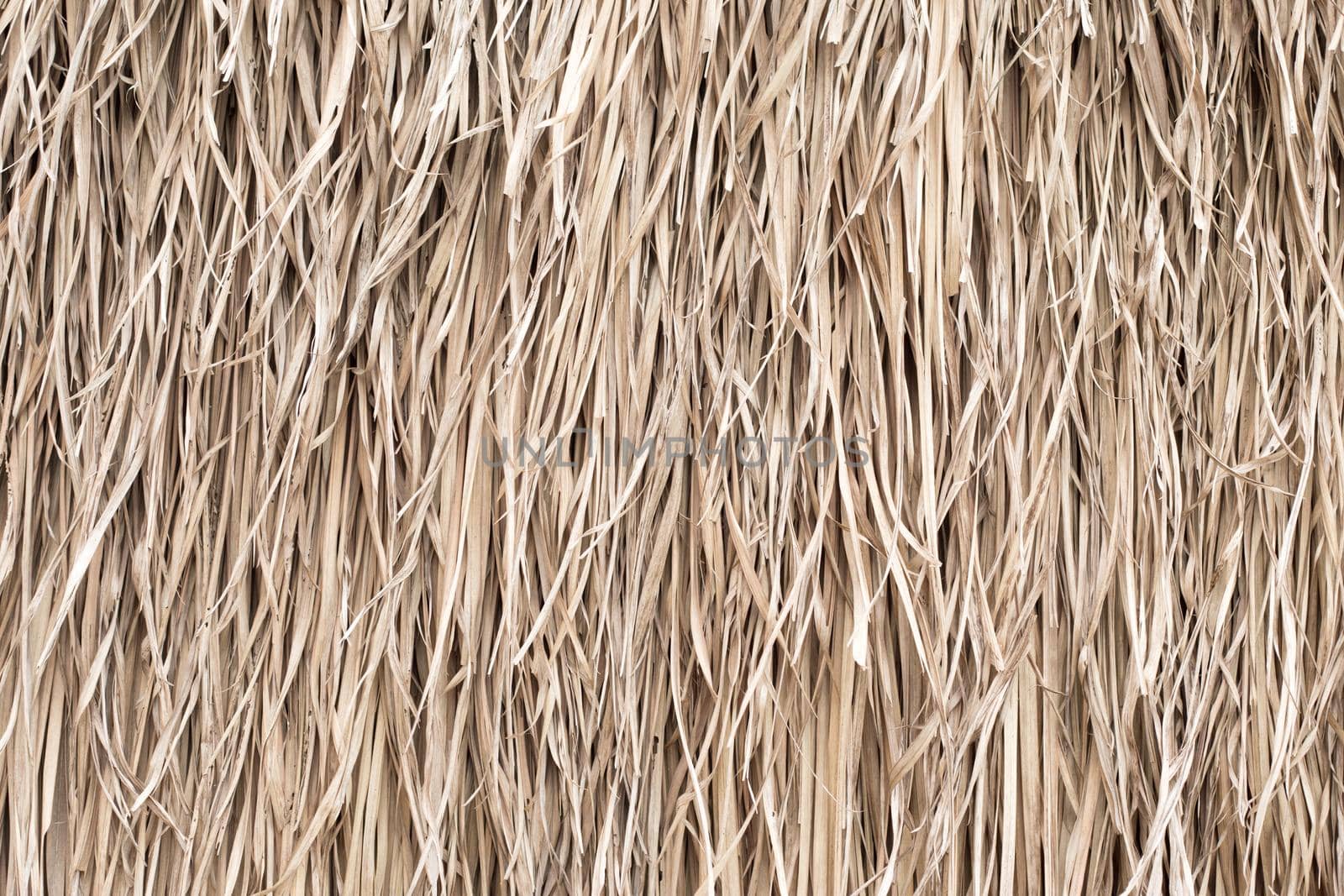 Straw texture. Tropic roof summer background