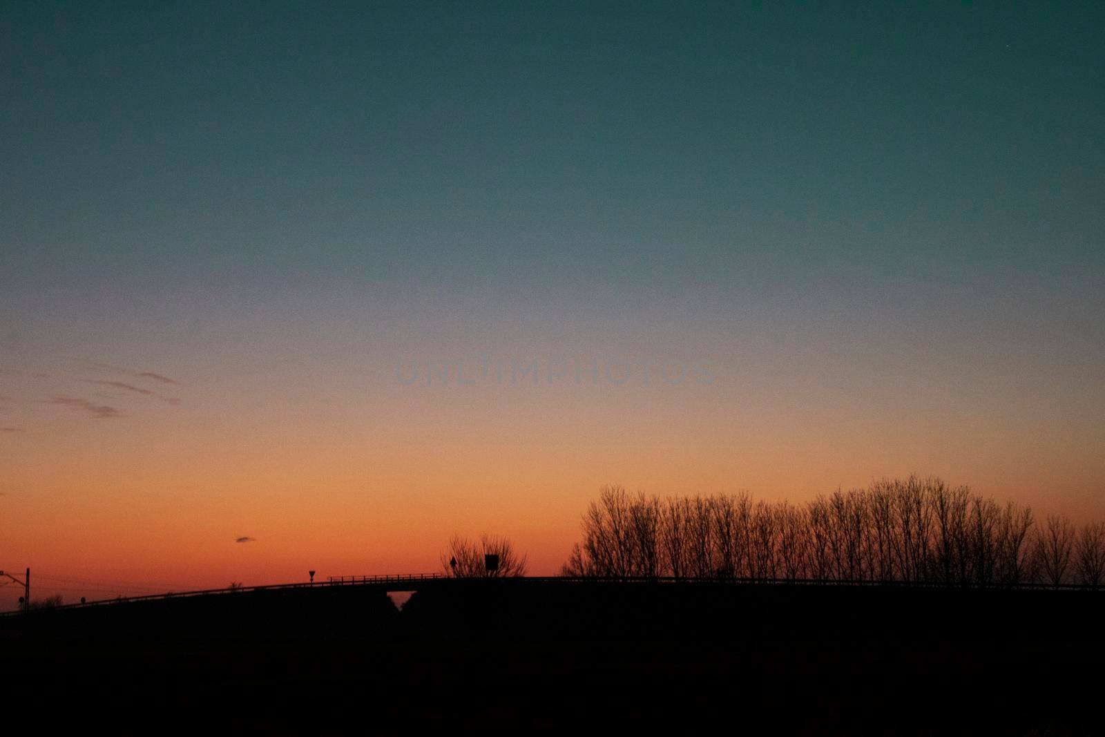 Landscape showing the silhouette of a line of trees with a color gradient in sunset