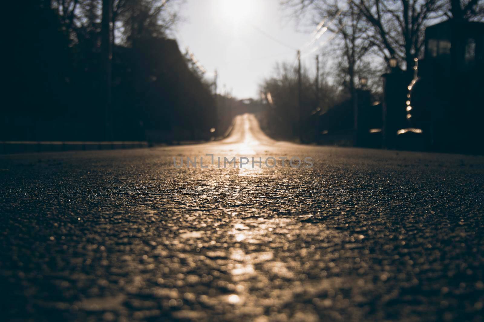 Long road perspective showing some trees and the texture of the asphalt