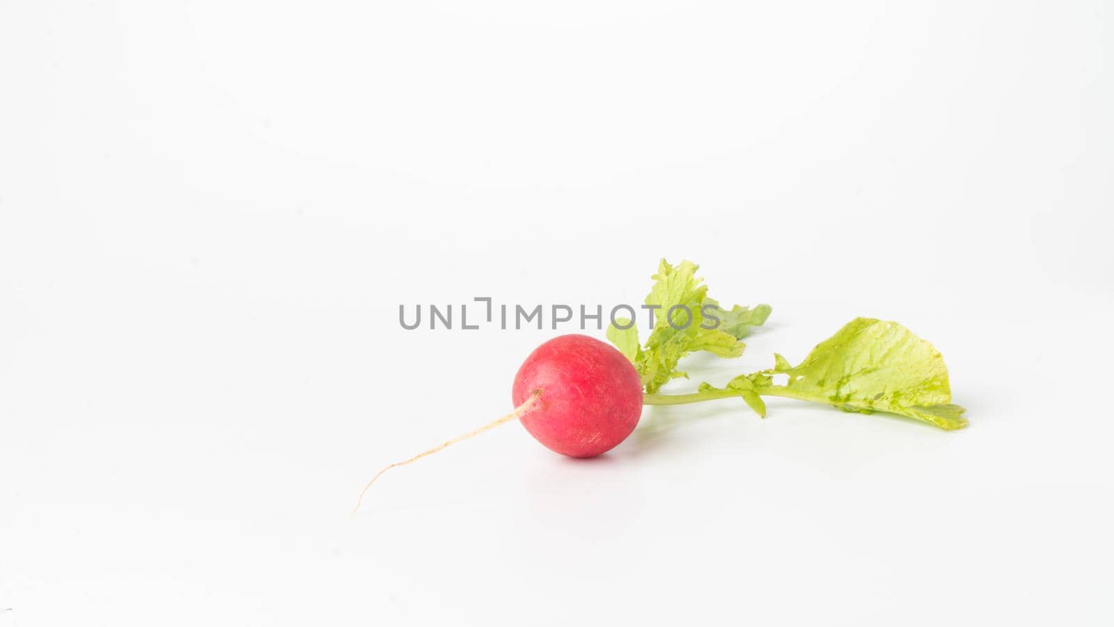 Radishes with greenery on a white background close-up. High quality photo