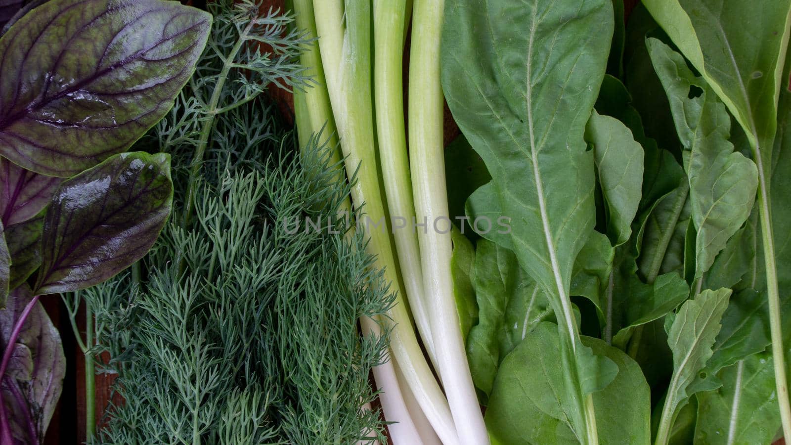 greens background - basil, dill, arugula, green onions. High quality photo