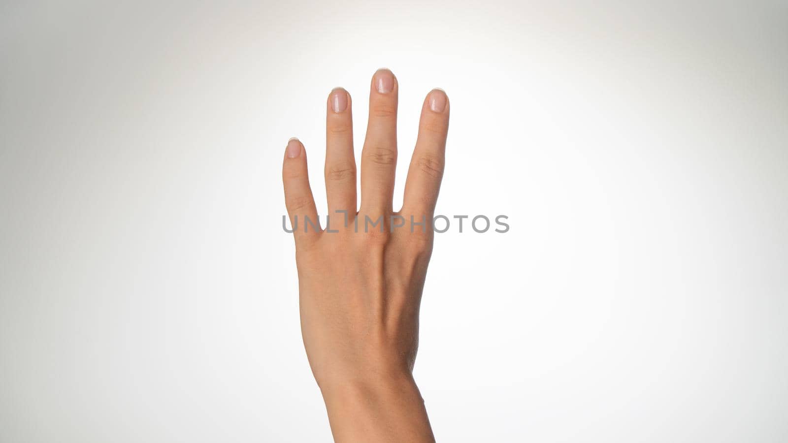 Women's hands count on fingers four back of palms by voktybre