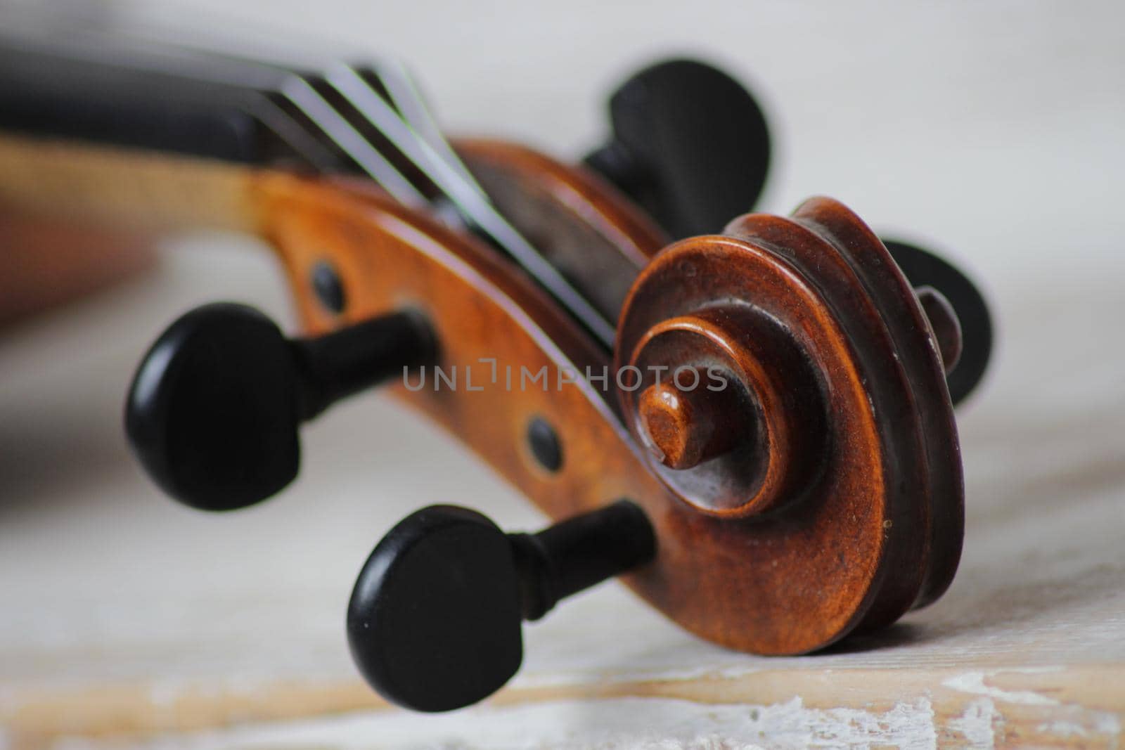 the violin a stringed professional musical instrument by Costin