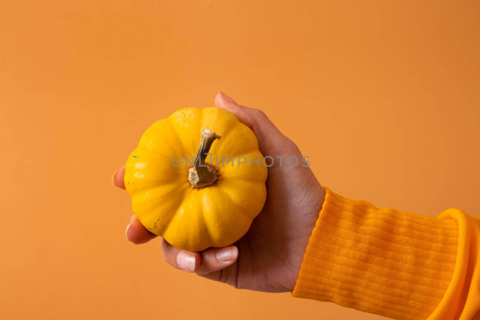 A small decorative orange pumpkin in a woman's hand in a sweater on an orange background. High quality photo