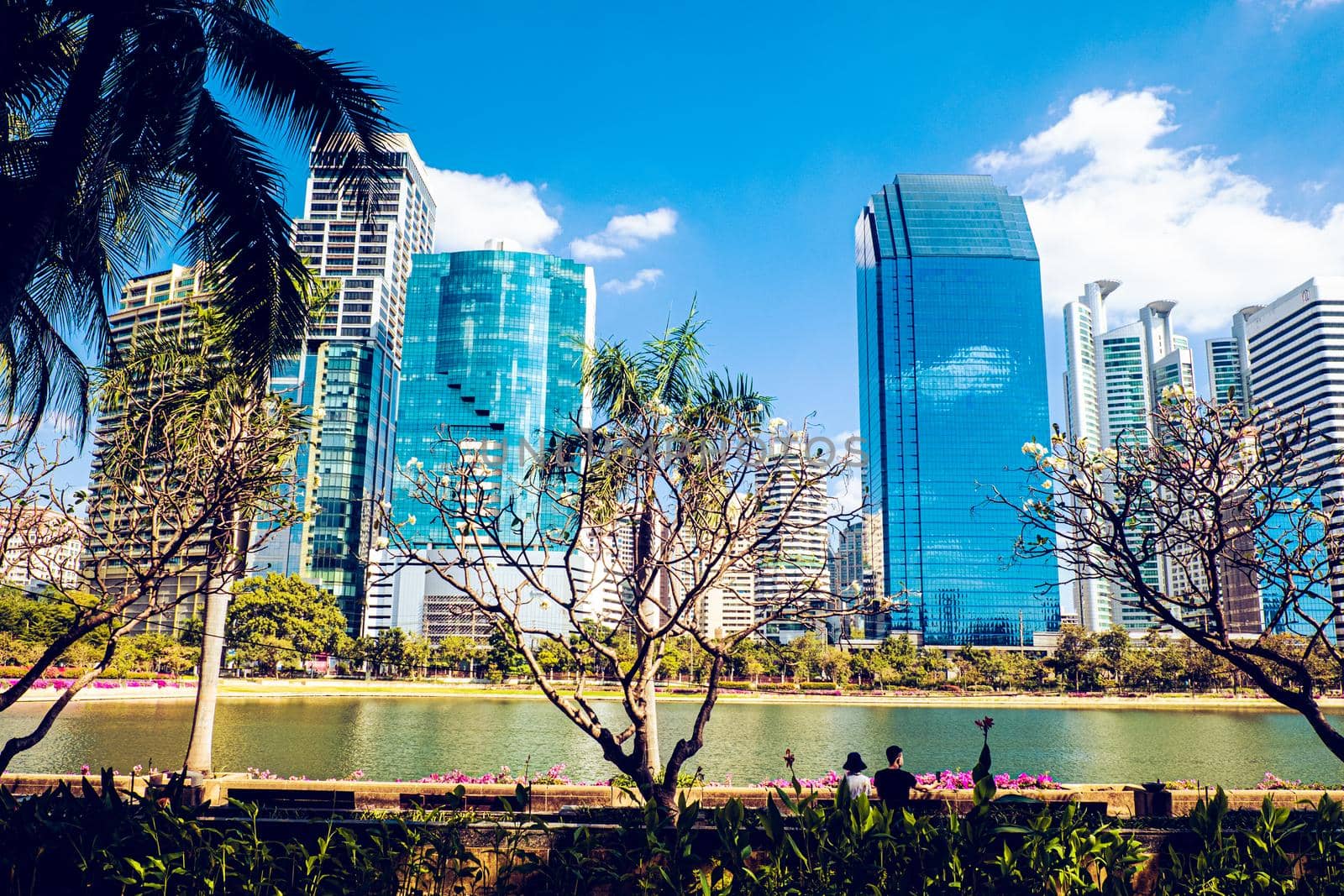 Bajakitti Forest Park, New Forest Park in  Bangkok Bangkok Thailand, on city background