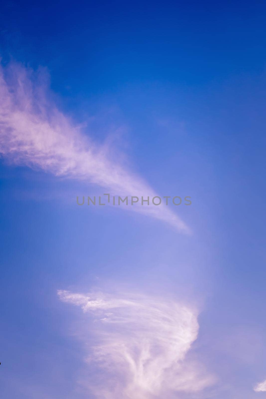 Huge white fluffys clouds sky background with blue sky background by Petrichor