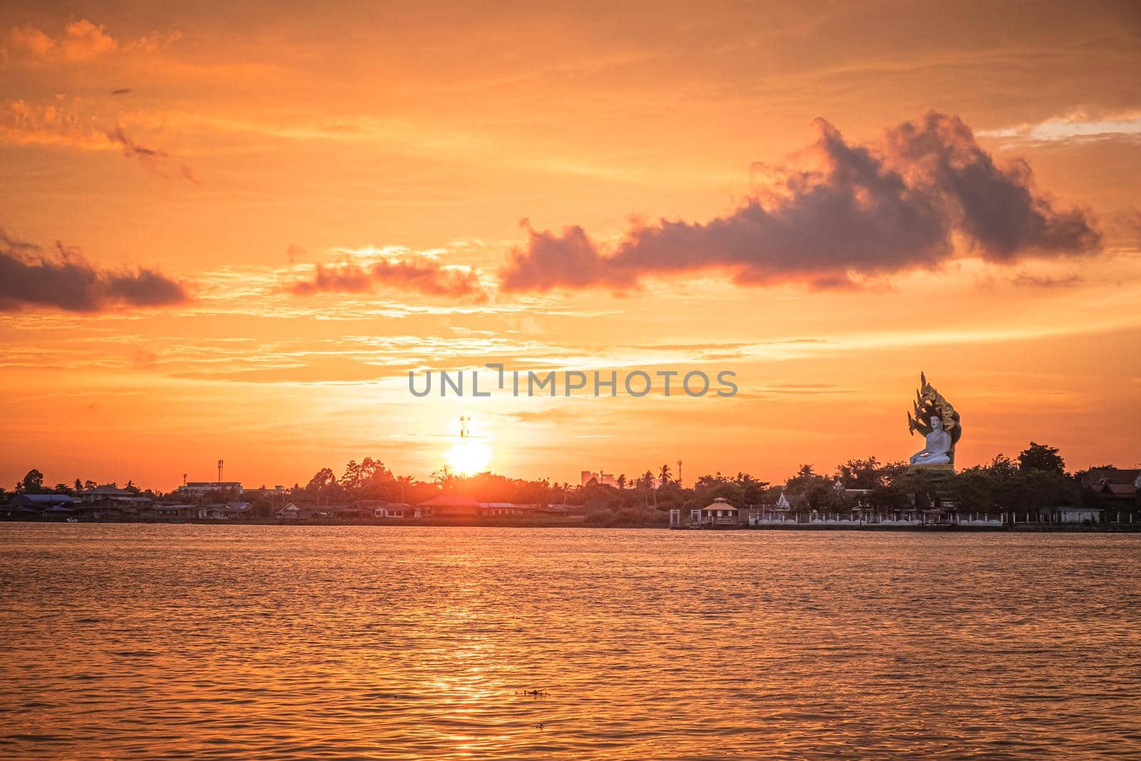 Silhouette of tree at sunset. Golden sun sunset reflect on surface of water nature background.