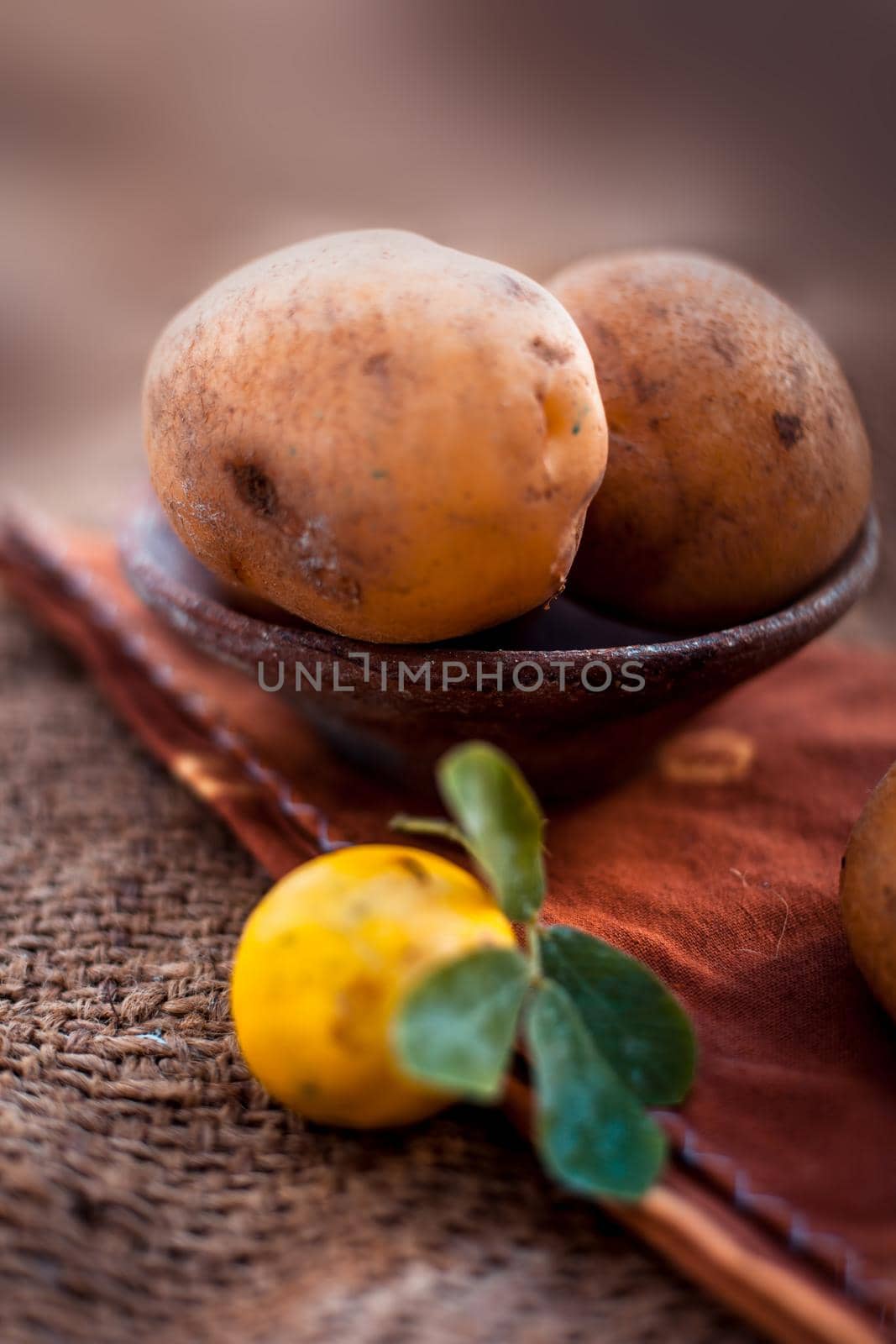 Close up of raw organic potato in a clay bowl on jute bags and some fresh lemons also with it.Vertical shot.