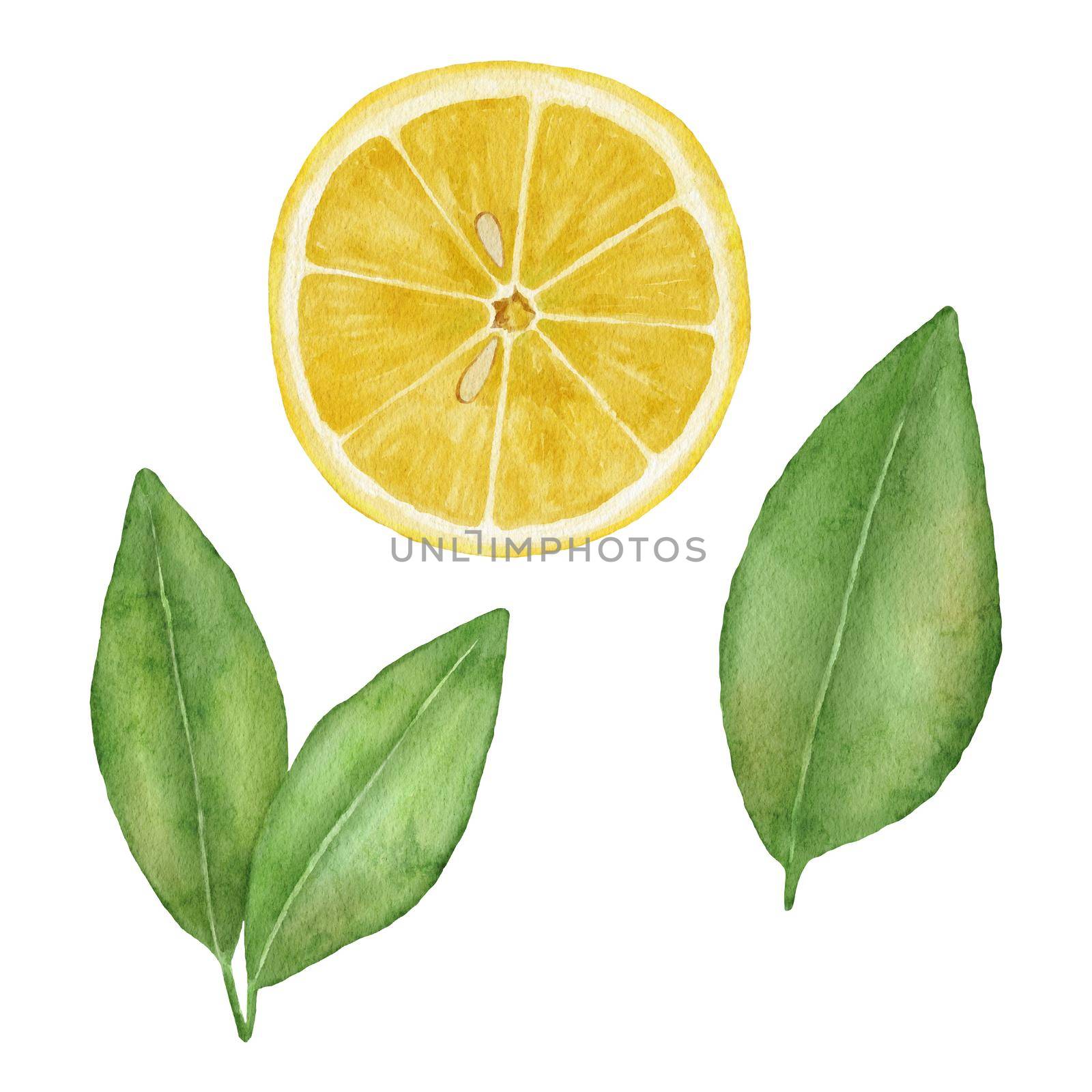 Lemon fruit slice with leaves. Hand draw watercolor illustration isolated on white. by ElenaPlatova