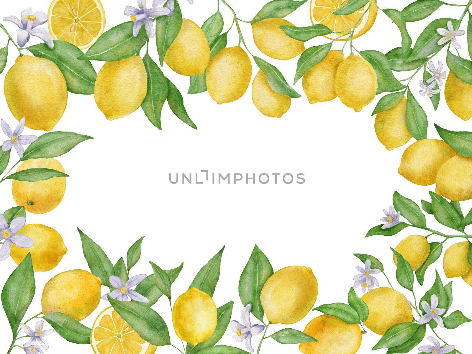 Lemon fruits with leaves and flower watercolor rectangular frame. Hand draw botanical frame isolated on white. by ElenaPlatova