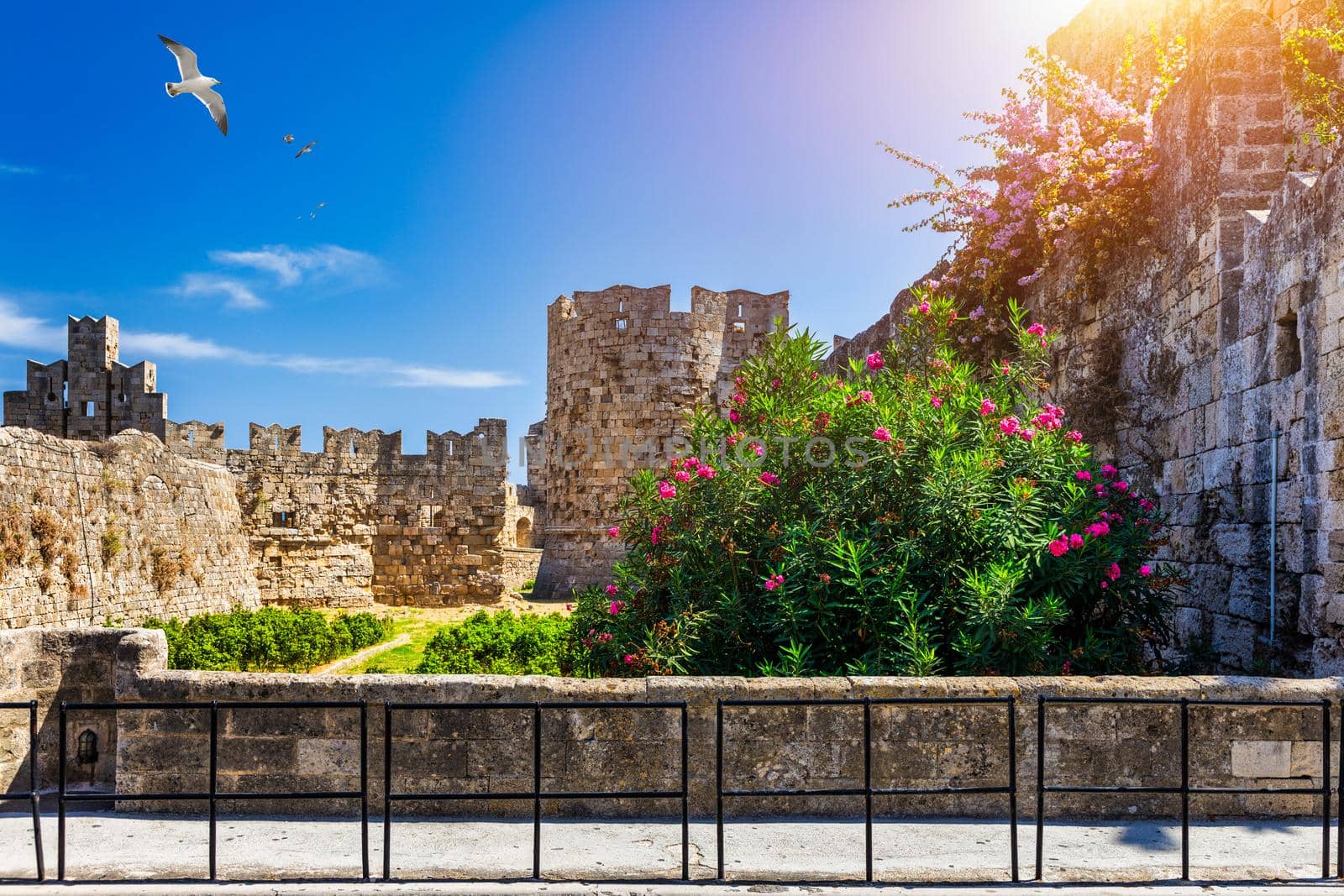 Medieval arched street in the old town of Rhodes, Greece. Rhodes old town in Rhodes island in Greece. Historical streets of old town Rhodes with flowers in Rhodes, Dodecanese, Greece