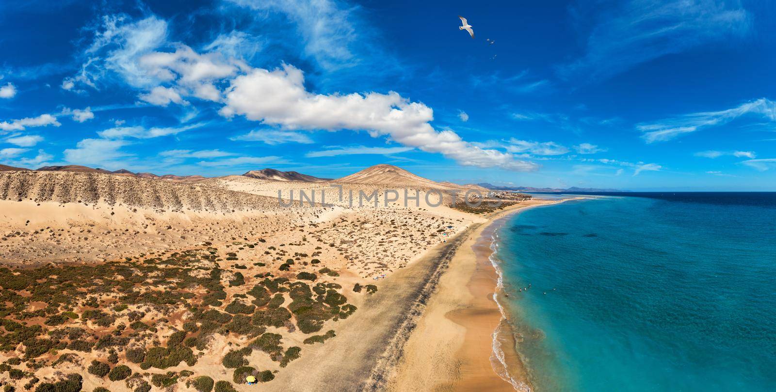 View on the beach Sotavento with golden sand and crystal sea water of amazing colors on Costa Calma on the Canary Island Fuerteventura, Spain. Beach Playa de Sotavento, Canary Island, Fuerteventura.
