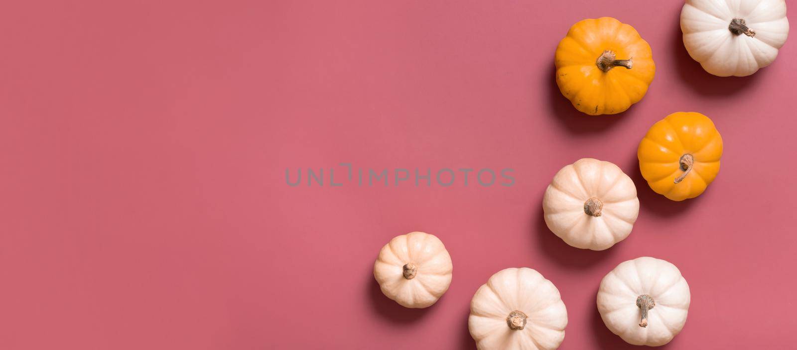Banner with group of decorative pumpkins top view on pink background. Copy space. Autumn flat lay.