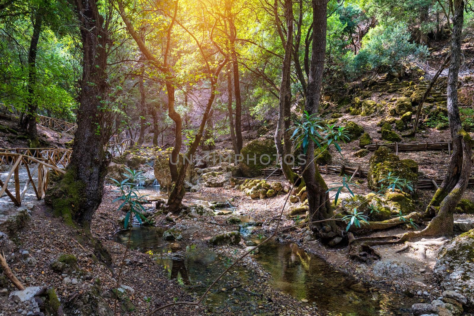 Wooden natural walking trekking path Butterflies Butterfly Valley Rhodes Greece. Butterfly valley reservation in Rhodes Island, Greece, walking paths in the nature. Rhodos, Greece.