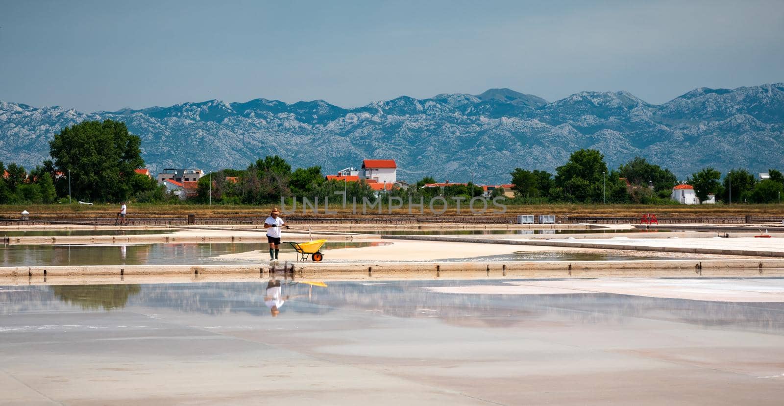 Nin, Croatia - 8 July 2021: Man picking up salt in the swamp and filling the wheelbarrow. Salt farmer harvesting the salt. Sea salt is salt that is produced by the evaporation of seawater.