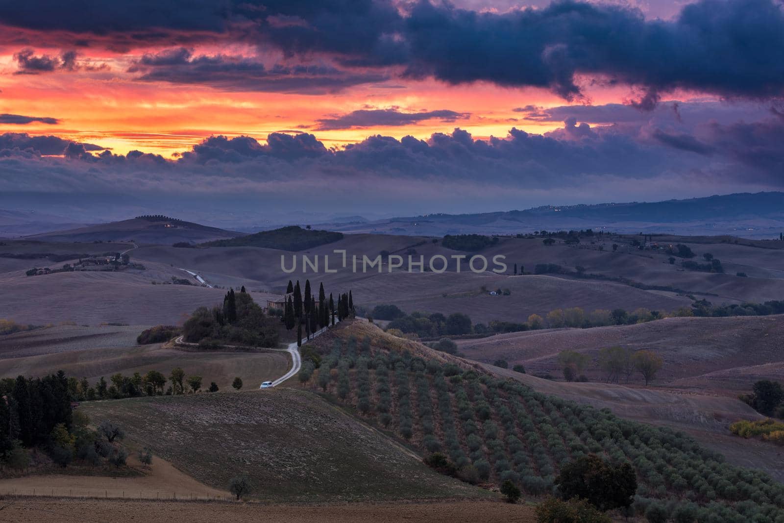 Hills, olive gardens and small vineyard under rays of morning sun, Italy, Tuscany. Famous Tuscany landscape with curved road and cypress, Italy, Europe