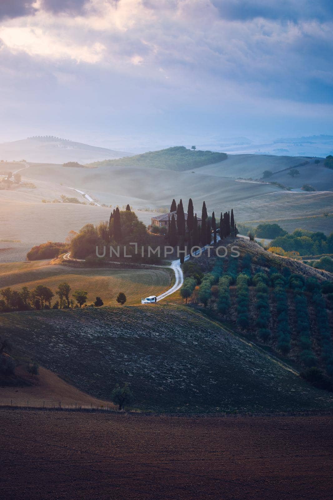 Hills, olive gardens and small vineyard under rays of morning sun, Italy, Tuscany. Famous Tuscany landscape with curved road and cypress, Italy, Europe