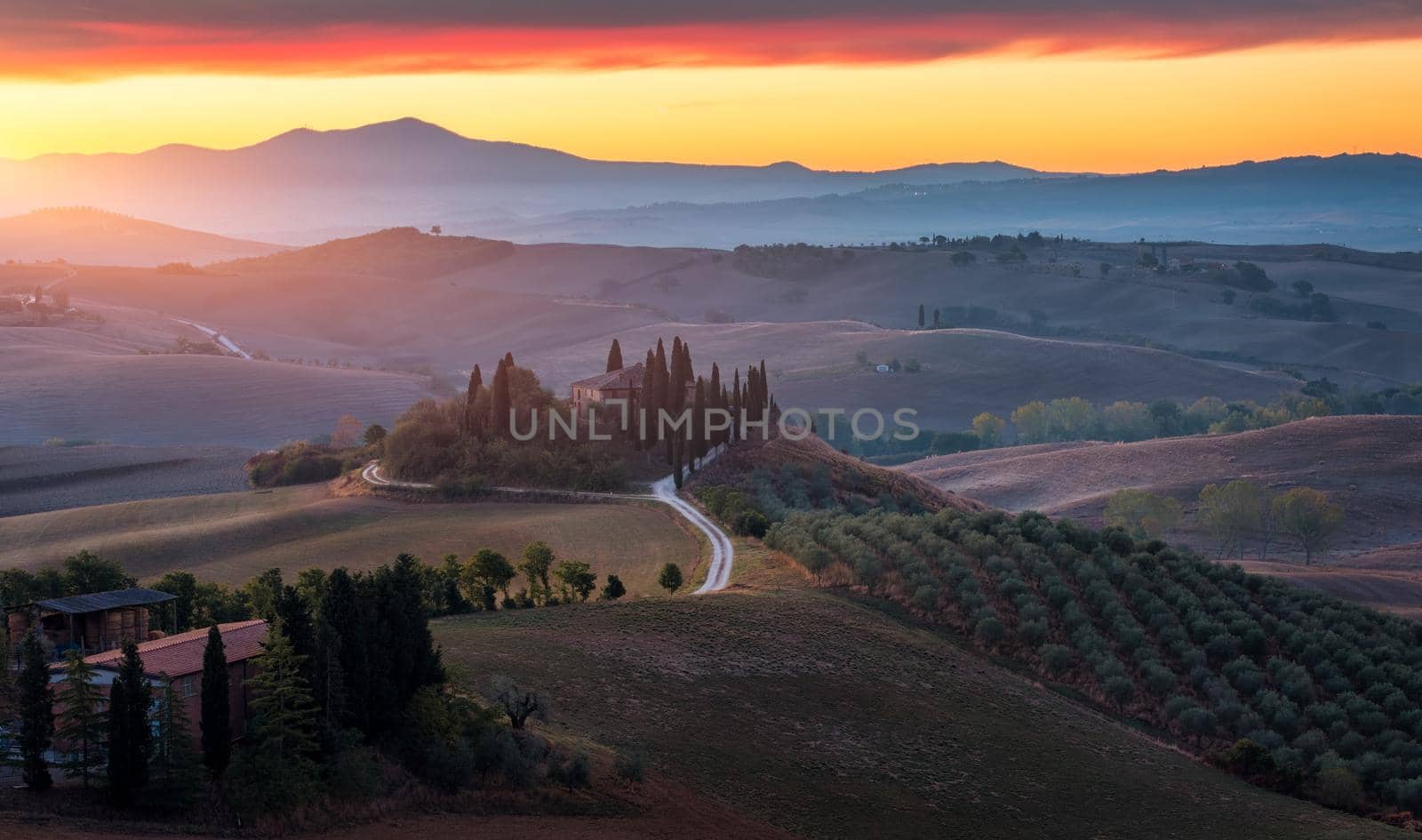 Well known Tuscany landscape with grain fields, cypress trees and houses on the hills at sunset. Summer rural landscape with curved road in Tuscany, Italy, Europe