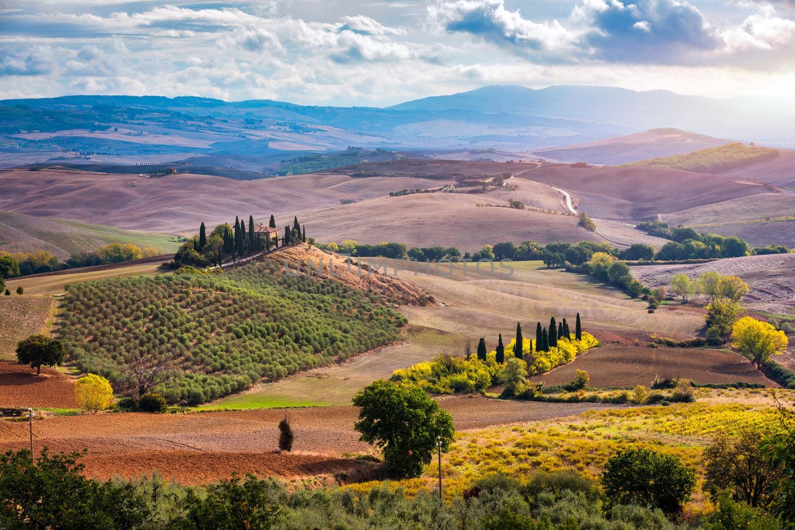 Well known Tuscany landscape with grain fields, cypress trees and houses on the hills at sunset. Summer rural landscape with curved road in Tuscany, Italy, Europe
