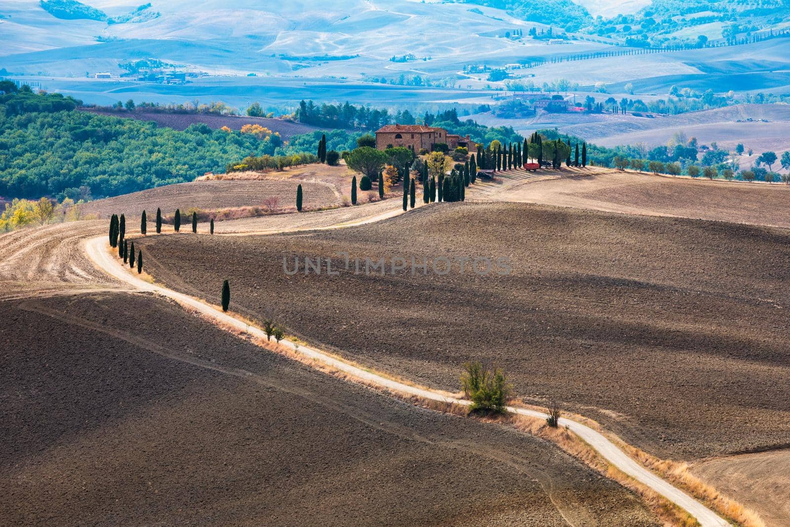 Well known Tuscany landscape with grain fields, cypress trees and houses on the hills at sunset. Summer rural landscape with curved road in Tuscany, Italy, Europe