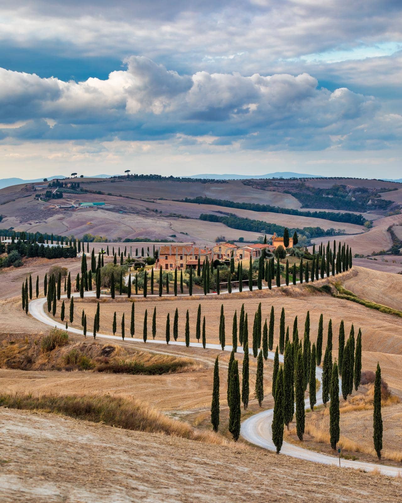Well known Tuscany landscape with grain fields, cypress trees and houses on the hills at sunset. Summer rural landscape with curved road in Tuscany, Italy, Europe
