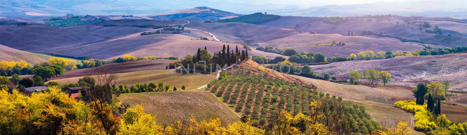 Well known Tuscany landscape with grain fields, cypress trees and houses on the hills at sunset. Summer rural landscape with curved road in Tuscany, Italy, Europe