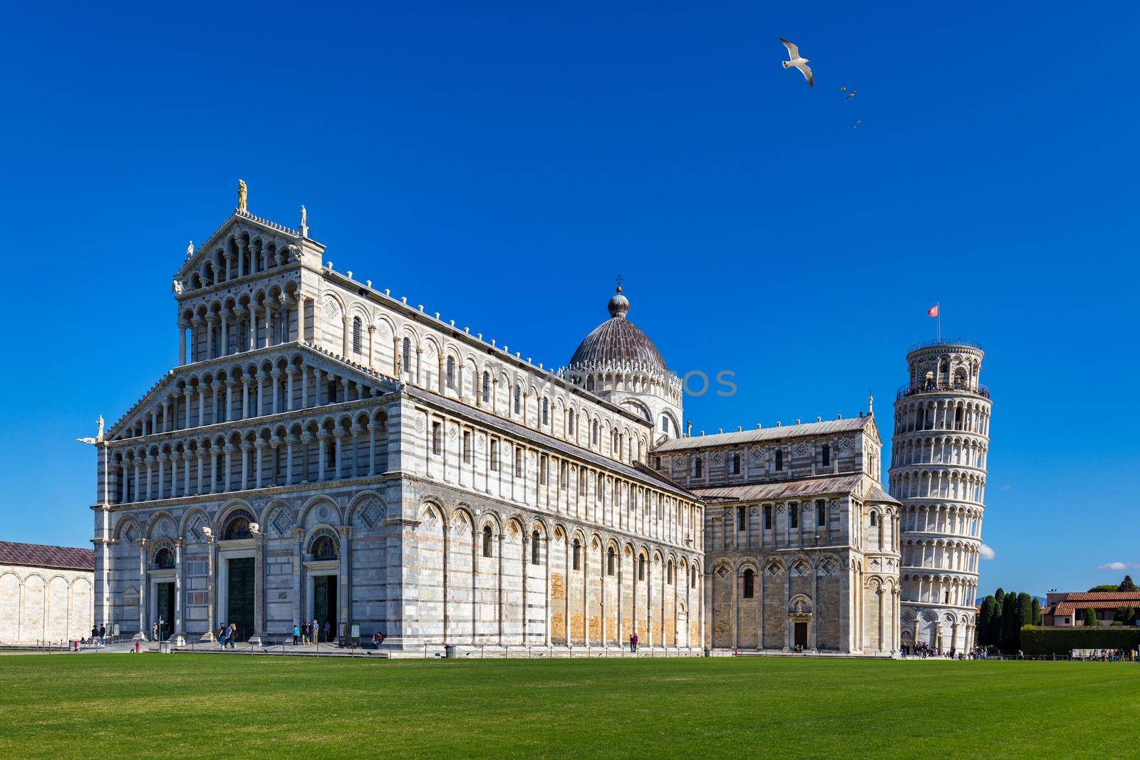 Pisa Cathedral and the Leaning Tower in a sunny day in Pisa, Italy. Pisa Cathedral with Leaning Tower of Pisa on Piazza dei Miracoli in Pisa, Tuscany, Italy.