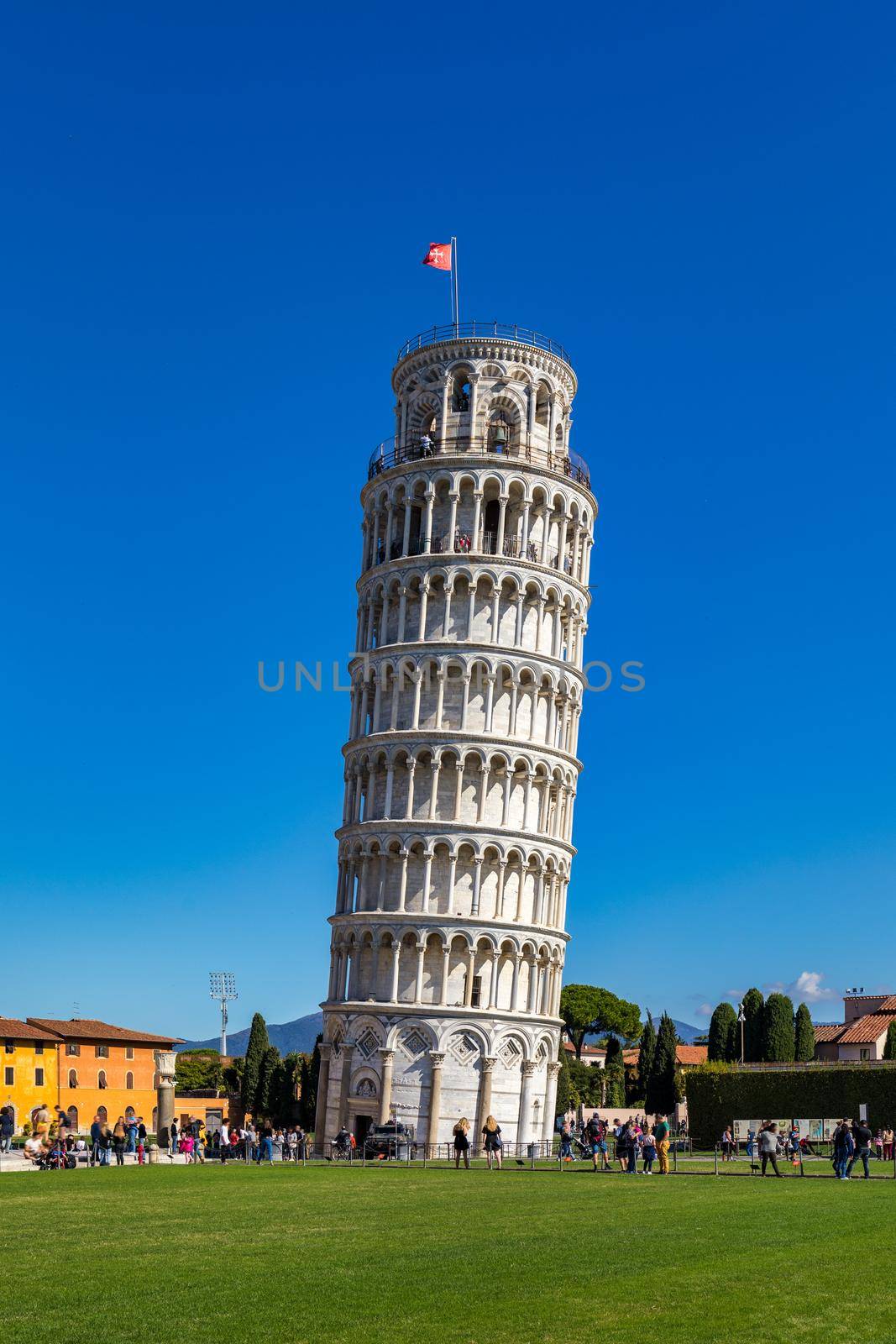 Leaning Tower of Pisa in a sunny day in Pisa, Italy. Leaning Tower of Pisa on Piazza dei Miracoli in Pisa, Tuscany, Italy.