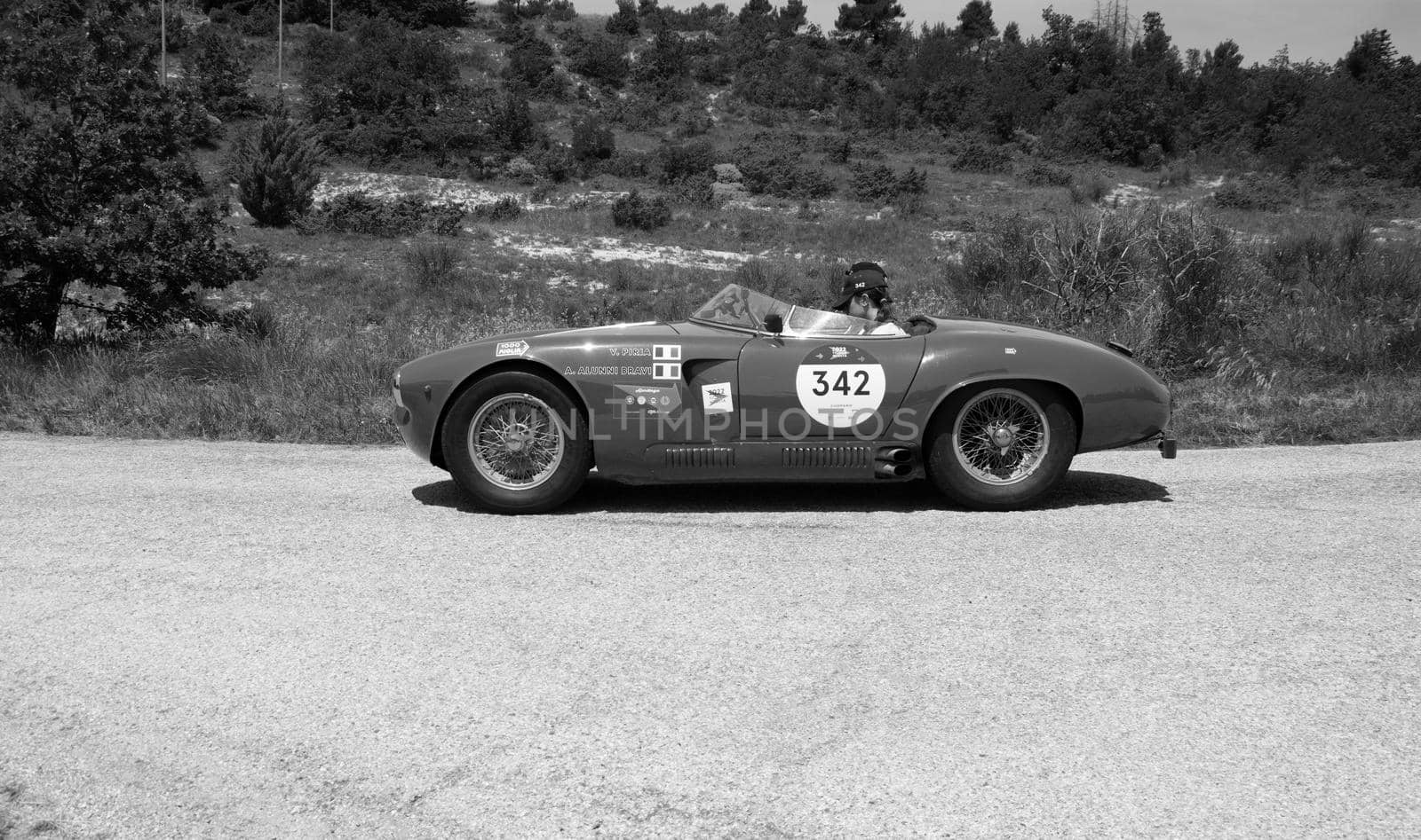 URBINO - ITALY - JUN 16 - 2022 : ALFA ROMEO 1900 SPORT SPIDER 1954 on an old racing car in rally Mille Miglia 2022 the famous italian historical race (1927-1957